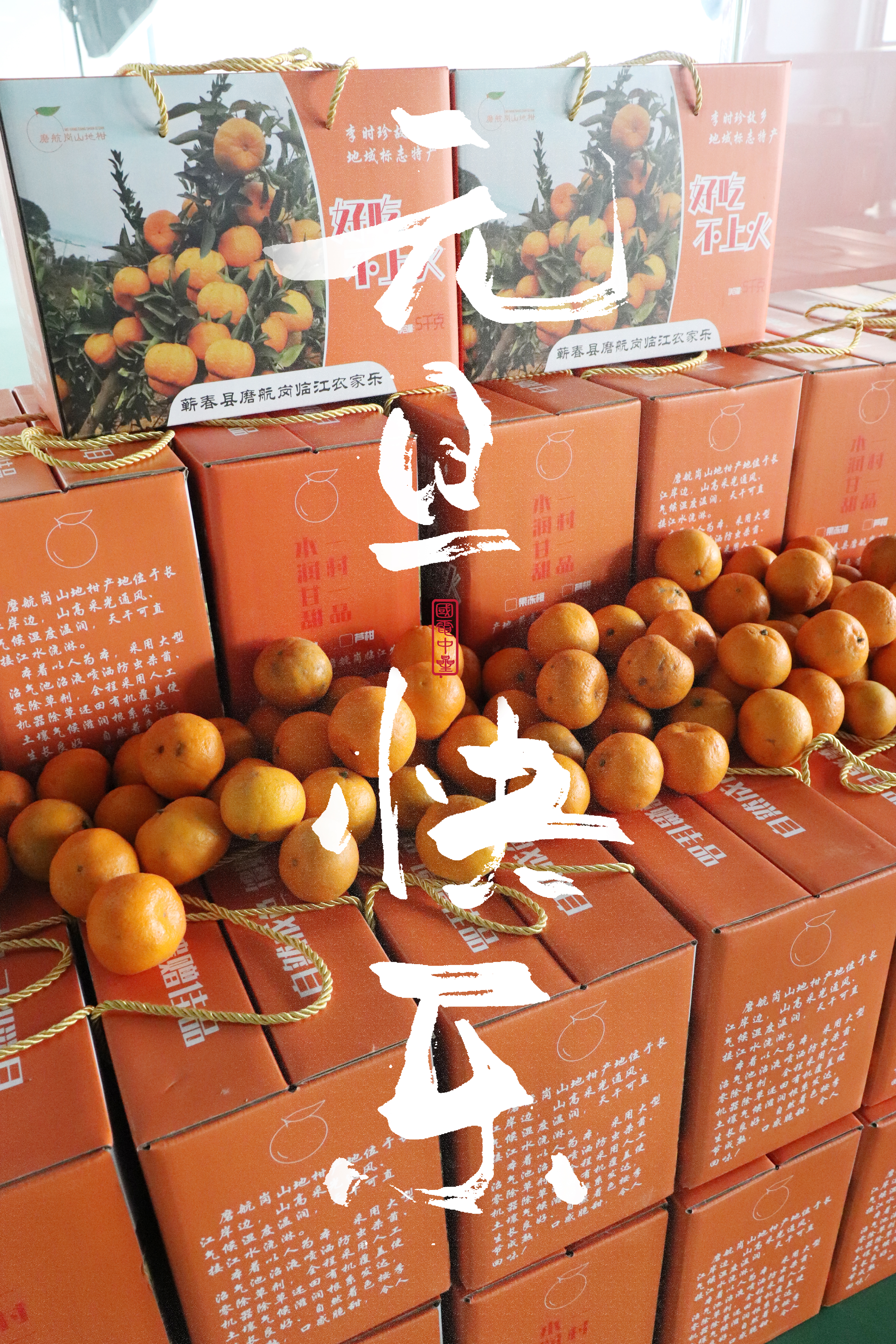 國電中星元旦節福利